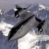 Fotobehang - 001.29 Blackbird - Afbeelding 2