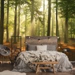 Fotobehang - 009.39 Sunkissed Forrest