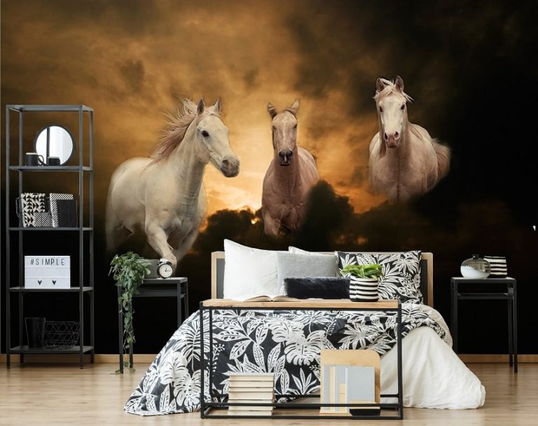 Lees meer over het artikel Een paardenkamer voor je dochter met paarden fotobehang