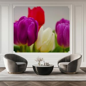 Tulpen (11)