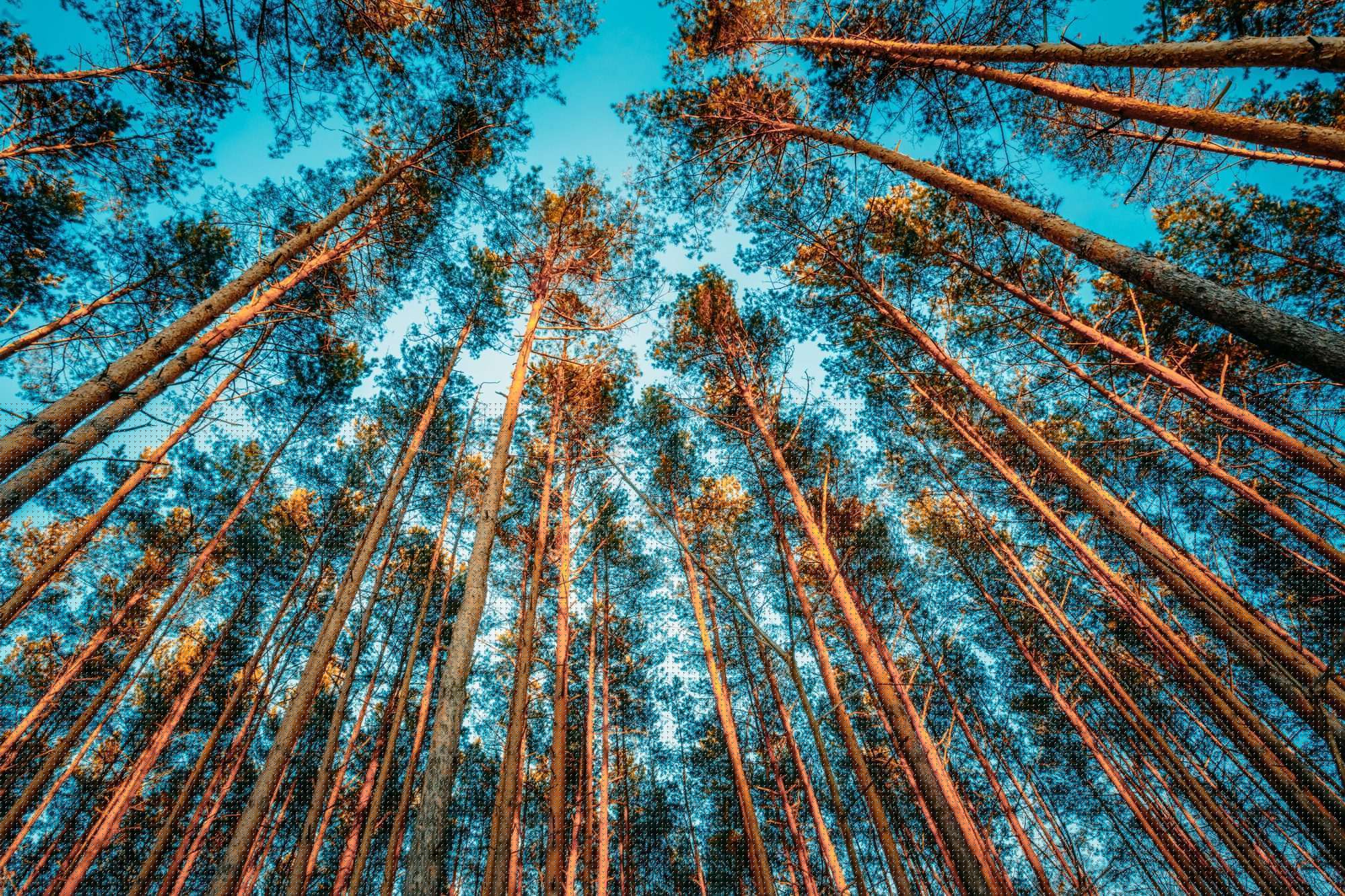 Natuur & Landschappen