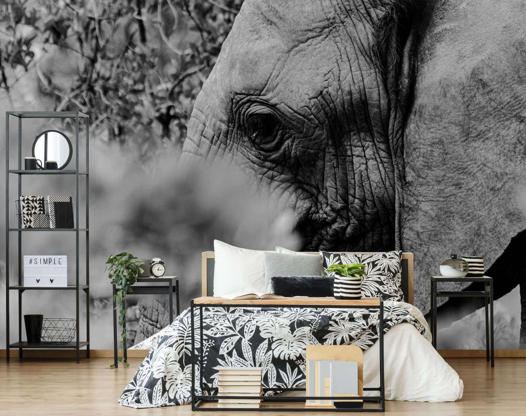 Olifant Close Up Zwart Wit