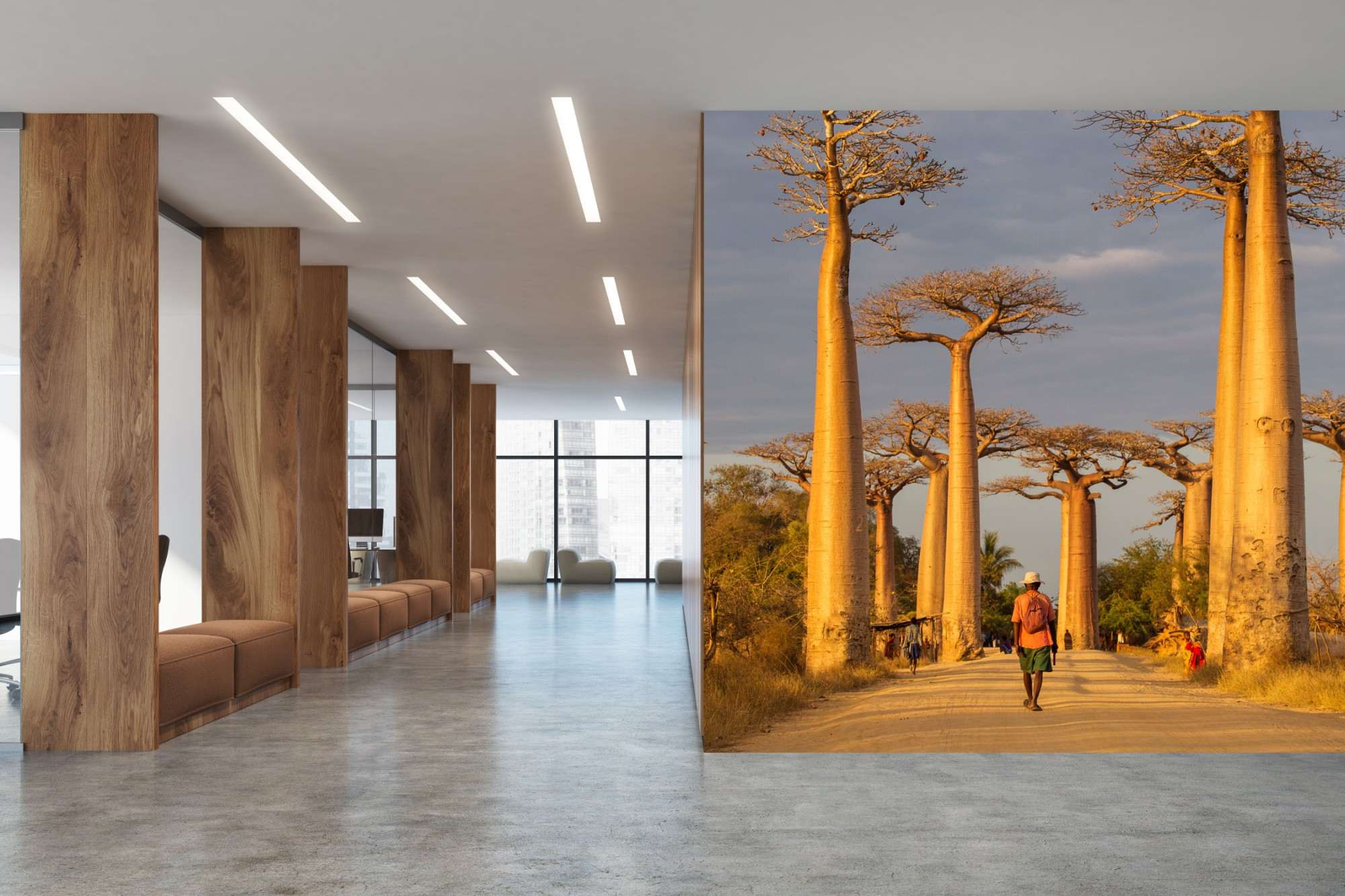 Afrikaanse Baobabbomen langs Zandweg