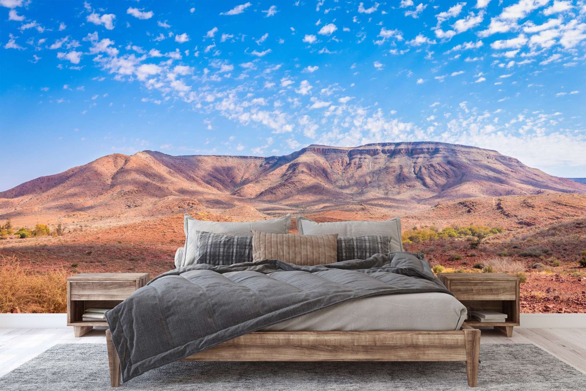 Afrikaanse Bergen met Zandweg