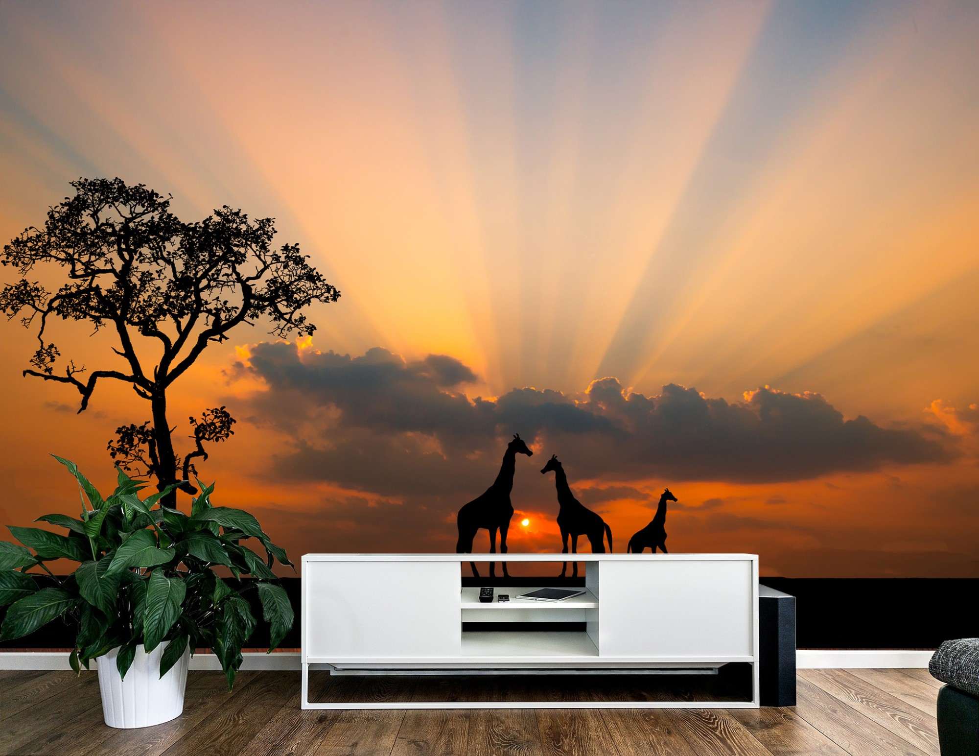 Afrikaanse Giraffen bij Zonsondergang