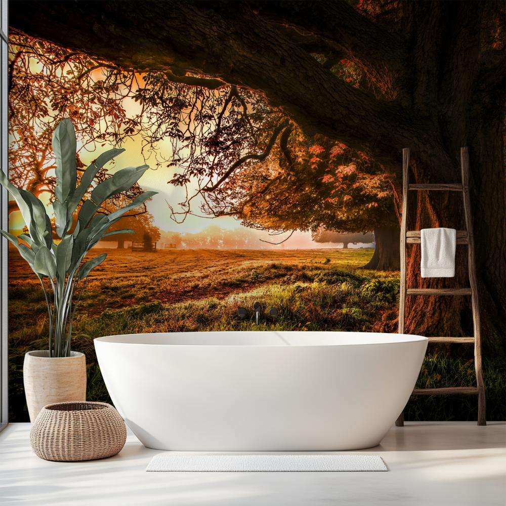 Boom in Open Veld bij Zonsondergang