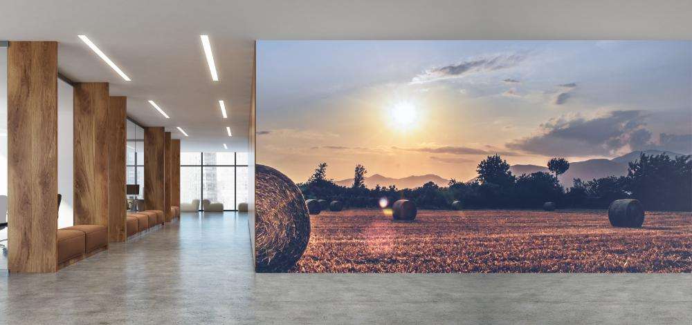 Landelijk Veld met Hooibaal