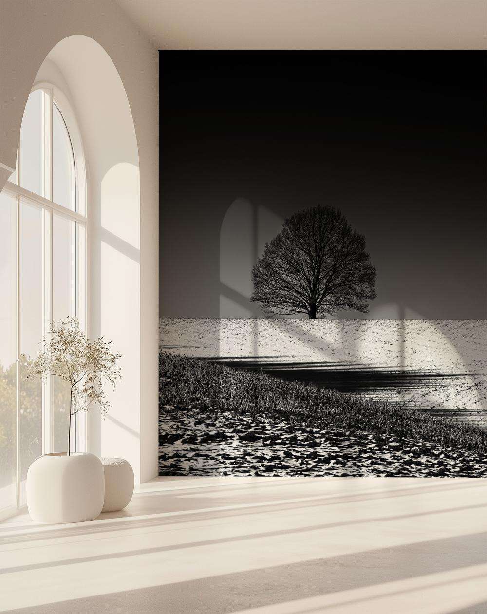 Graanveld met Ochtendmist