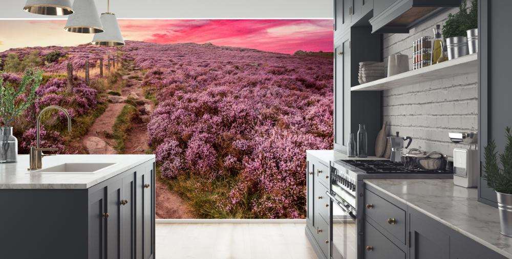 Paars Lavendelveld in Avondlicht