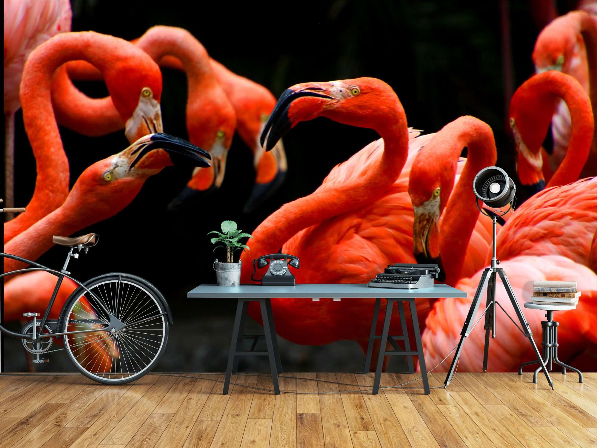 Rode Flamingo’s in Groep