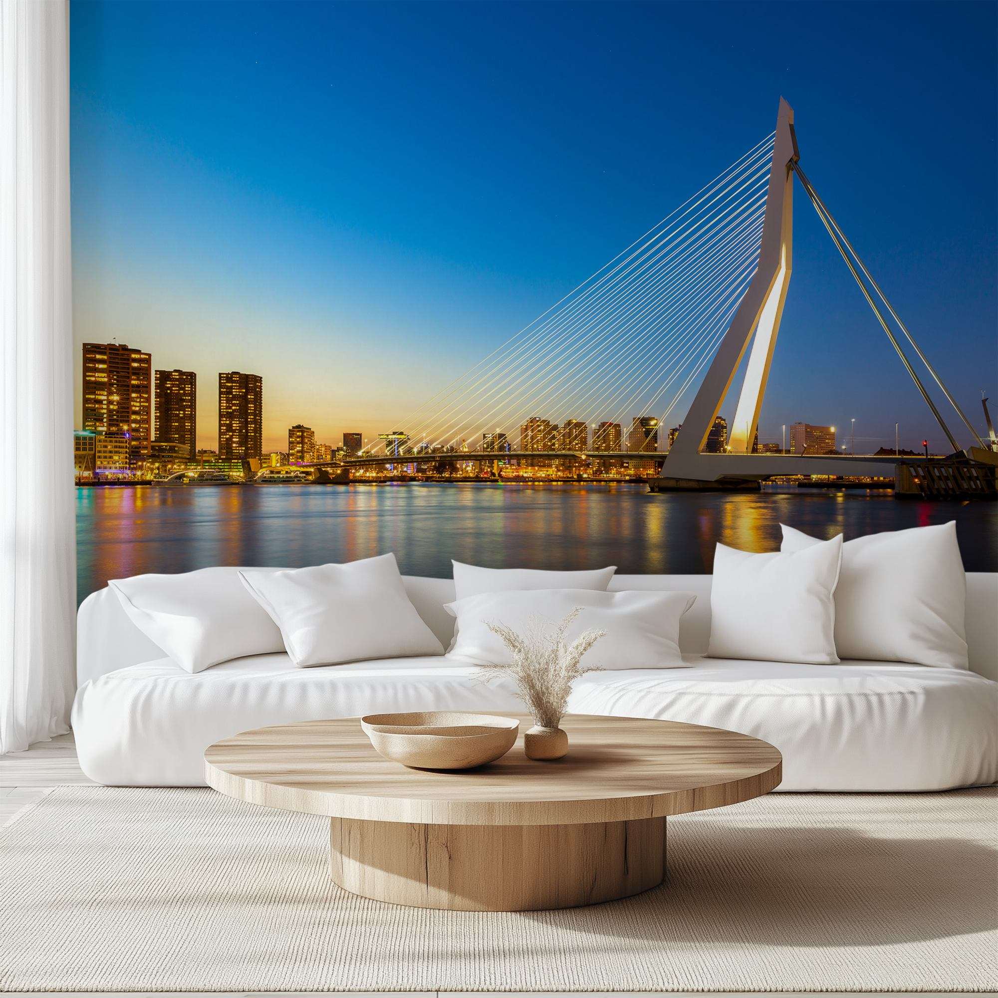 Rotterdam Erasmusbrug bij Avond