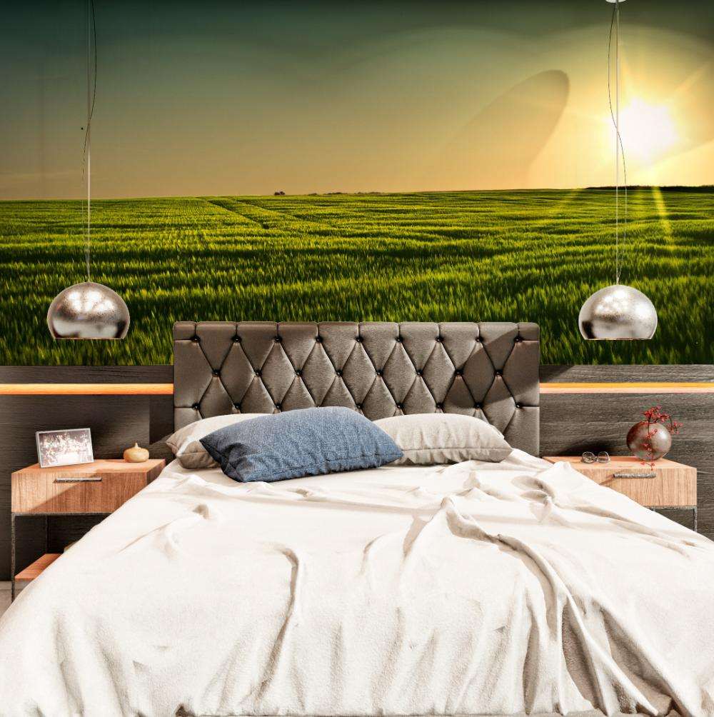 Bloemenveld bij Zonsondergang