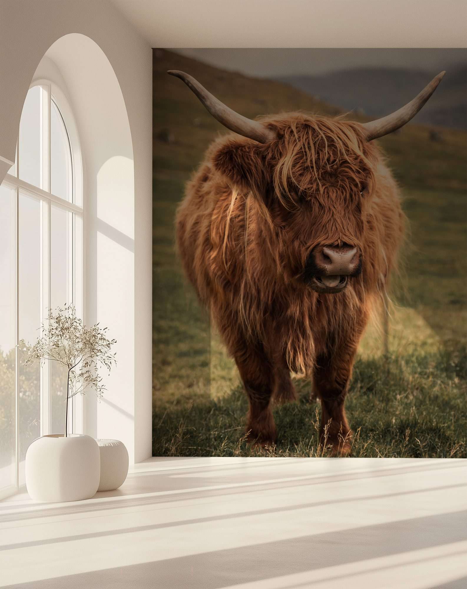 Schotse Hooglander op Heuvel