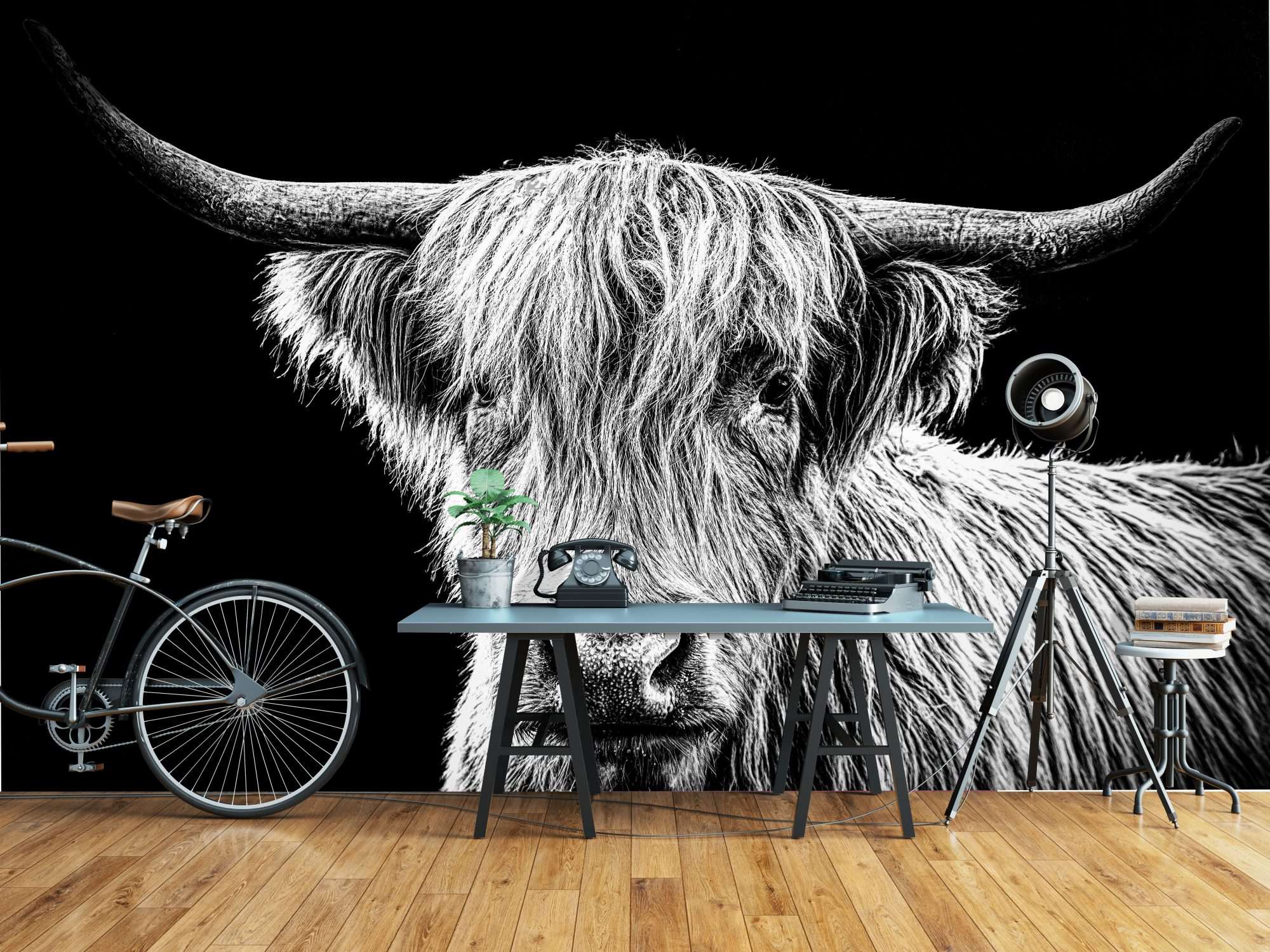 Schotse Hooglander Portret Zwart-Wit