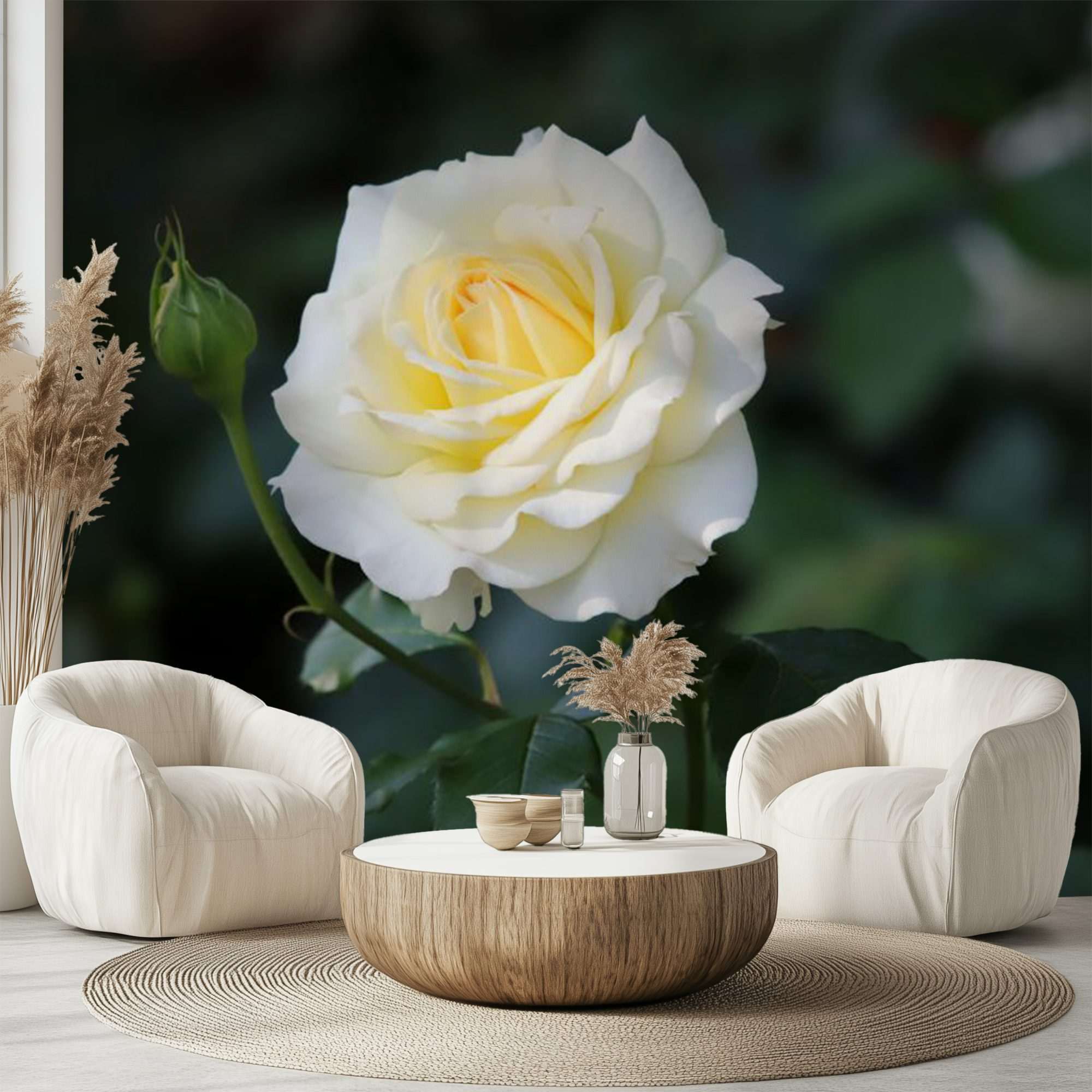 Enkele Witte Roos in Tuin