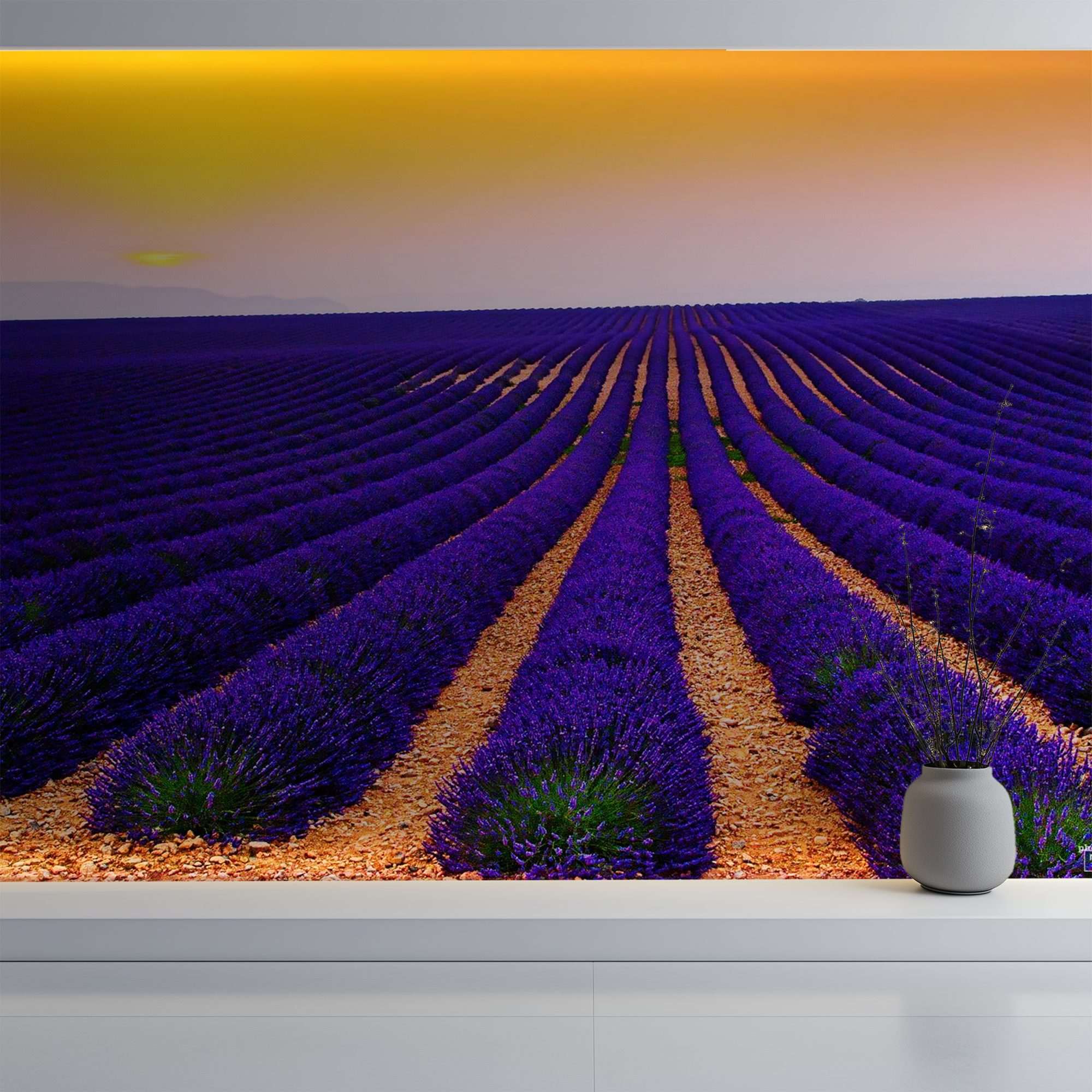 Lavendelvelden met Gouden Avondlicht