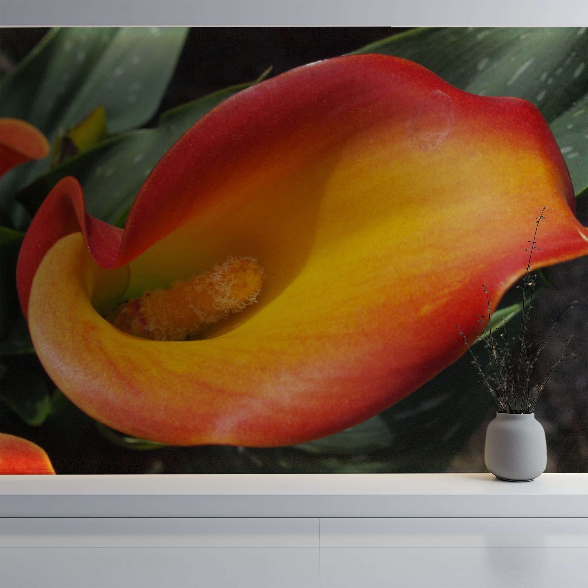 Oranje Calla Lelie Close-up