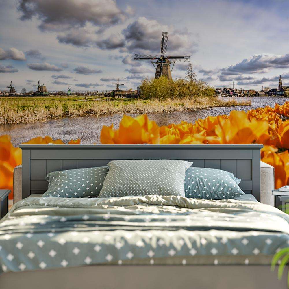 Oranje Tulpenveld met Hollandse Molen