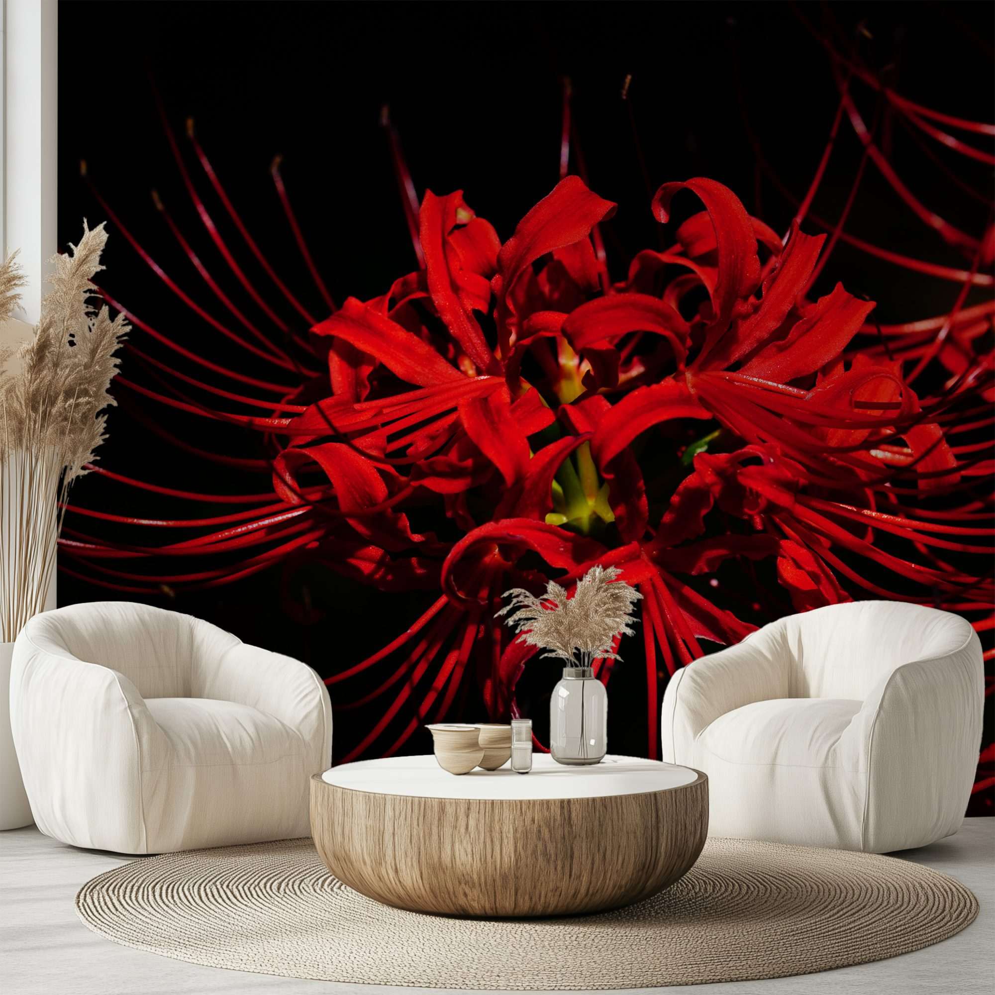 Rode Spinlelie op Donkere Achtergrond