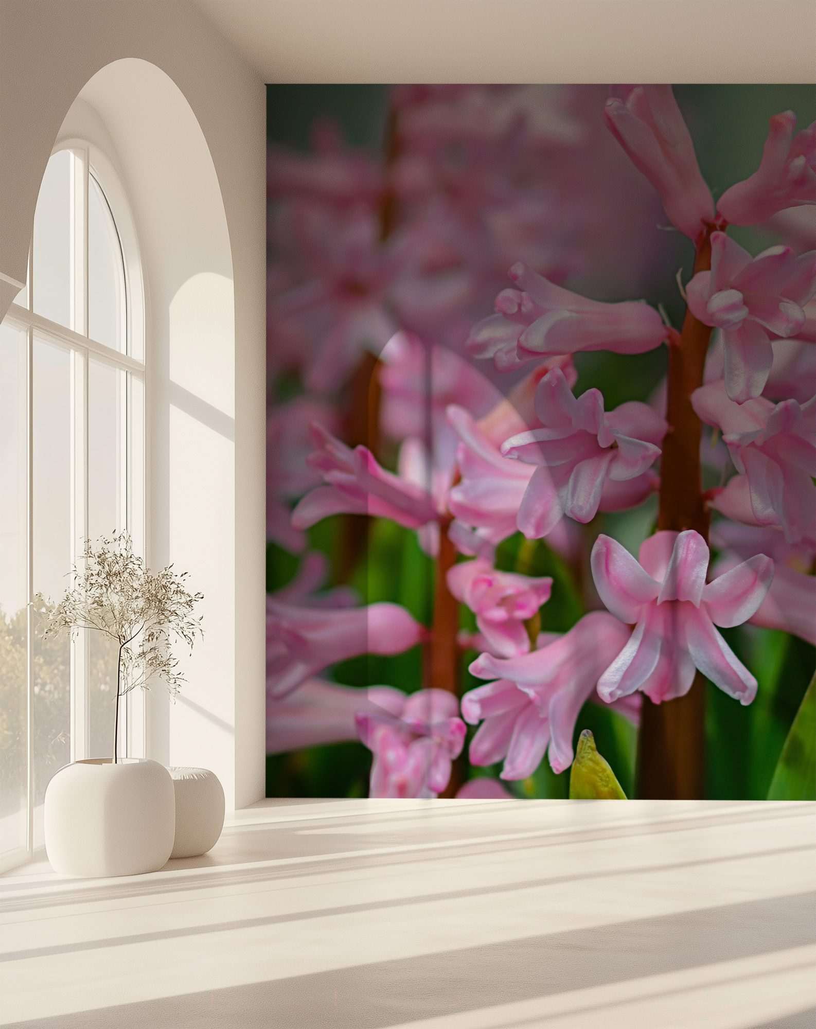 Roze Hyacint Close-up