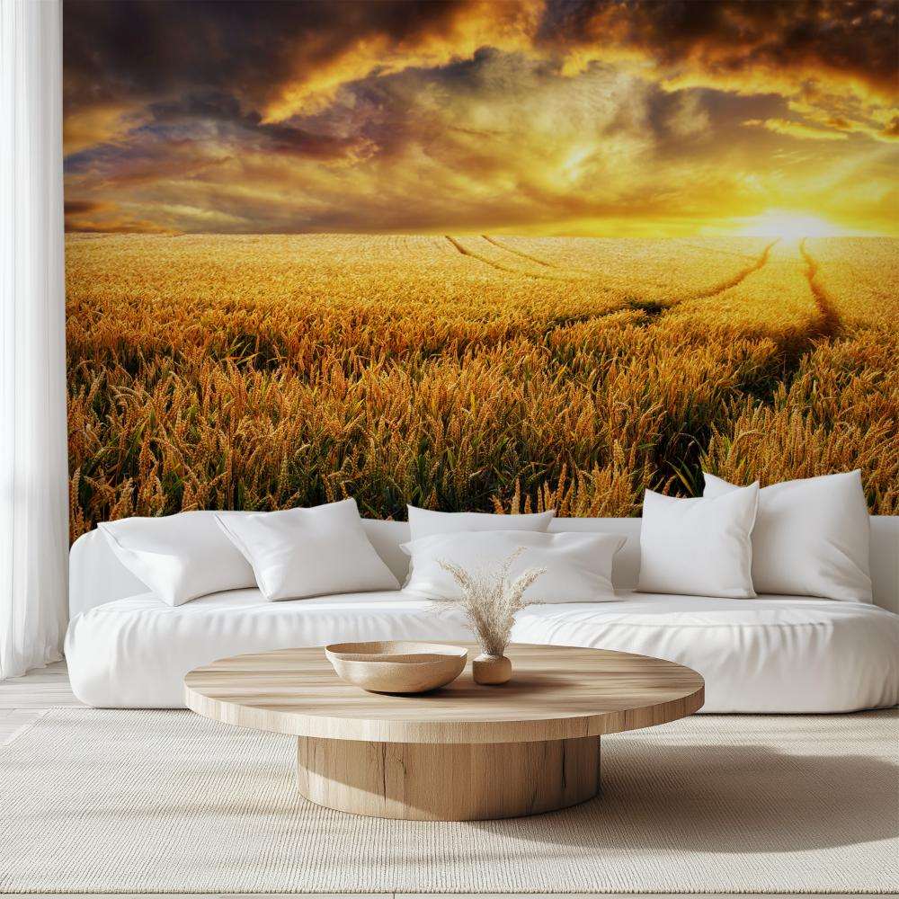 Tarwehalmen met Blauwe Lucht en Wolken