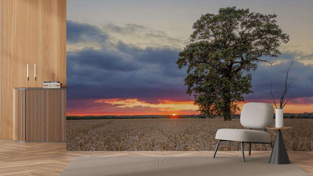 Tarweveld met Zonsondergang