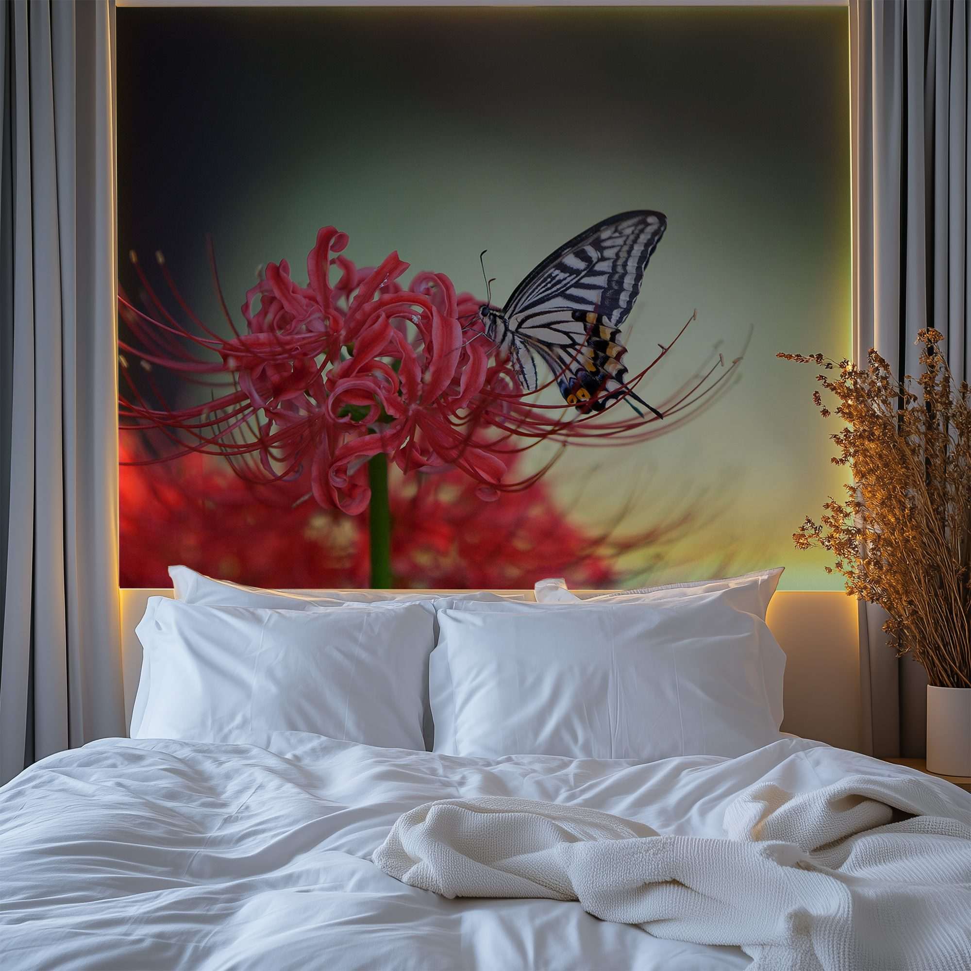 Vlinder op Rode Spinlelie