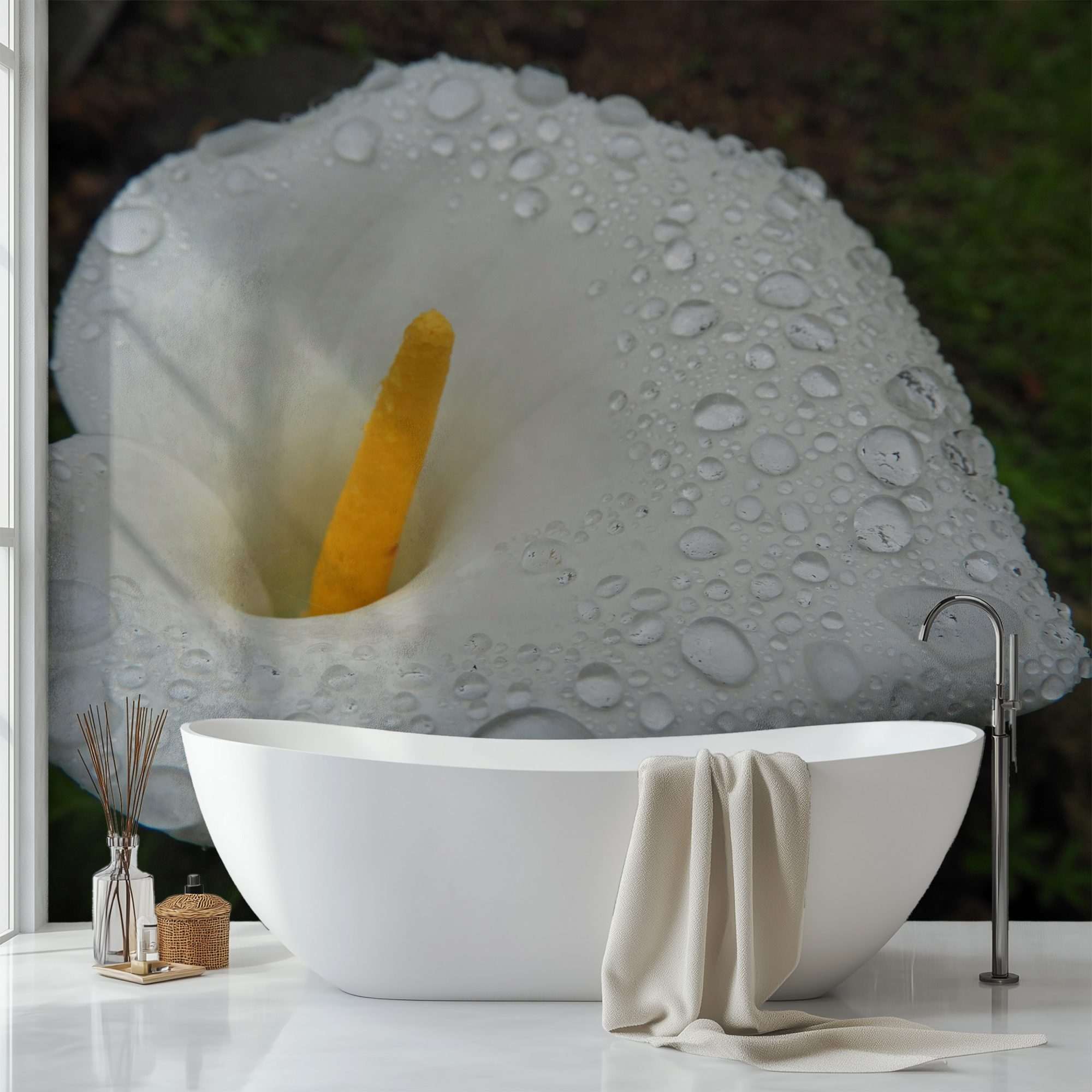 Witte Calla Lelie met Dauwdruppels