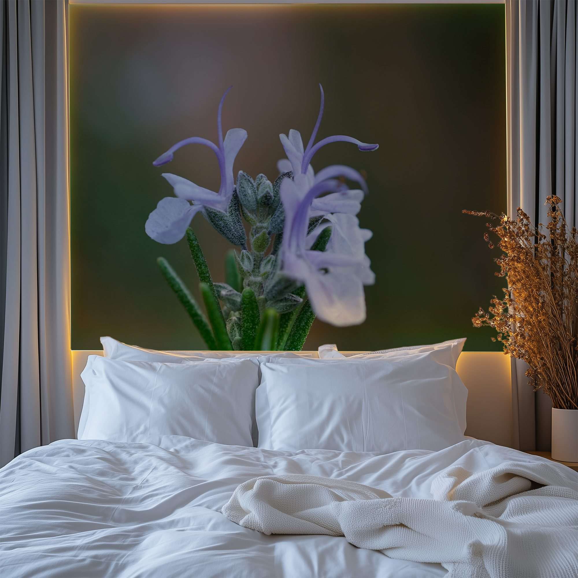 Witte Salie Bloem Close-up