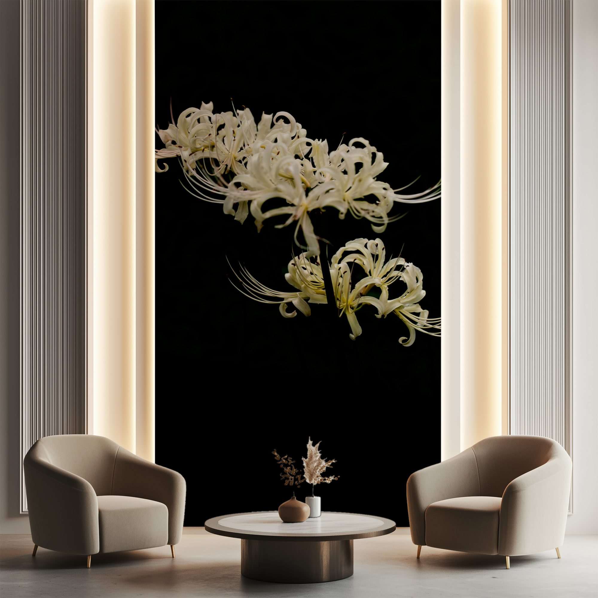 Witte Spinlelie op Zwarte Achtergrond