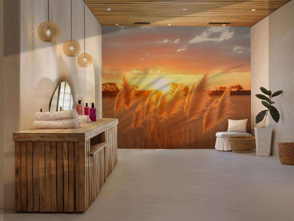 Zachte Pluimen bij Zonsondergang