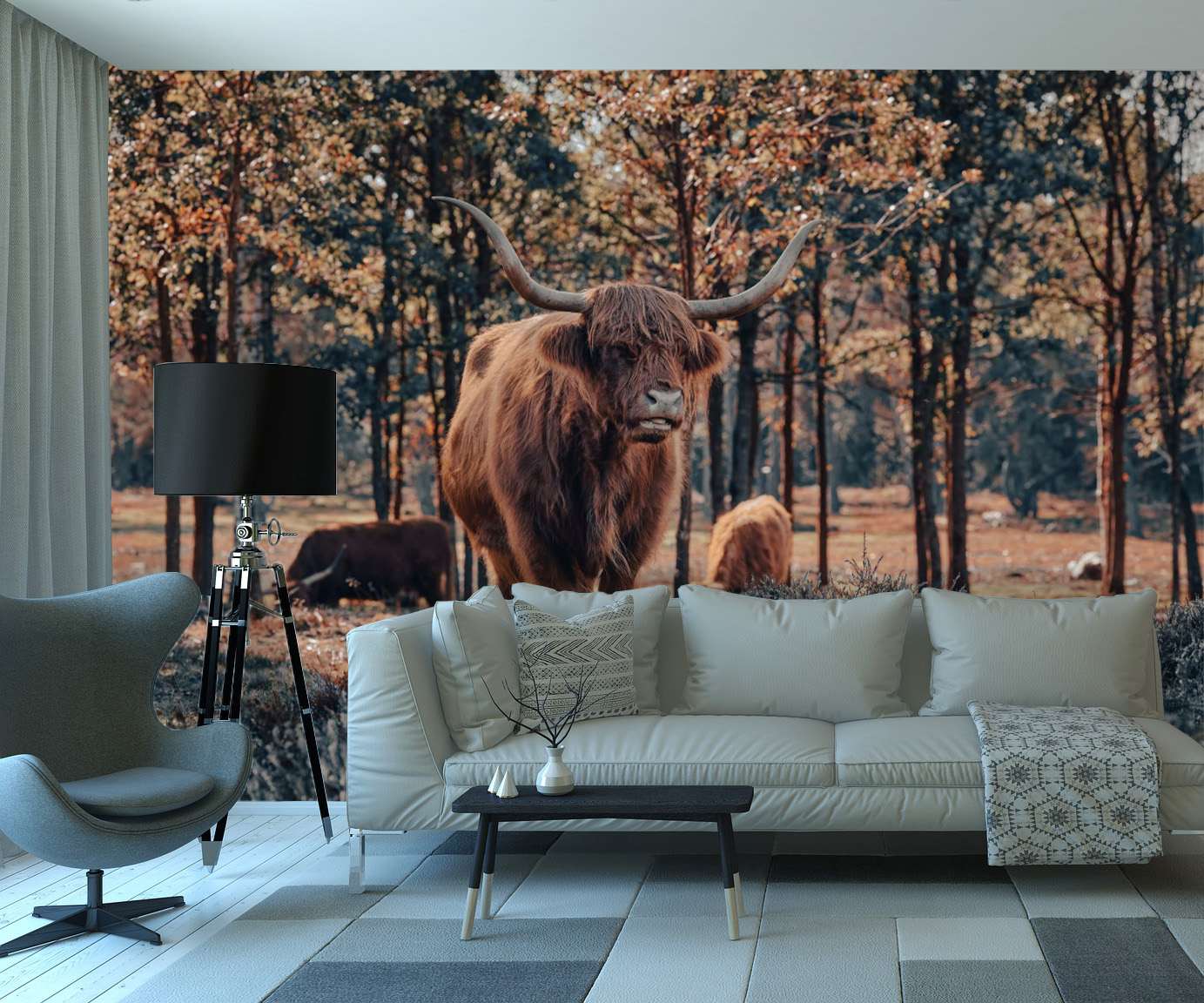 Schotse Hooglanders in Herfstbos