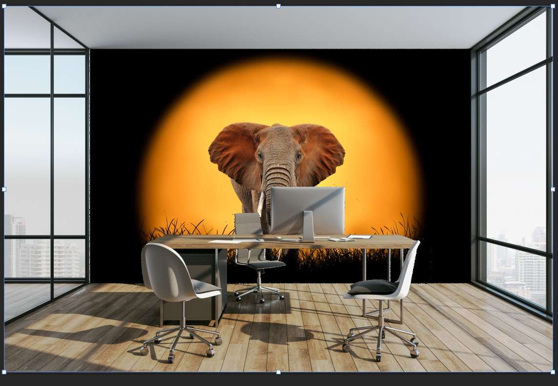 Olifant Zonsondergang Silhouet
