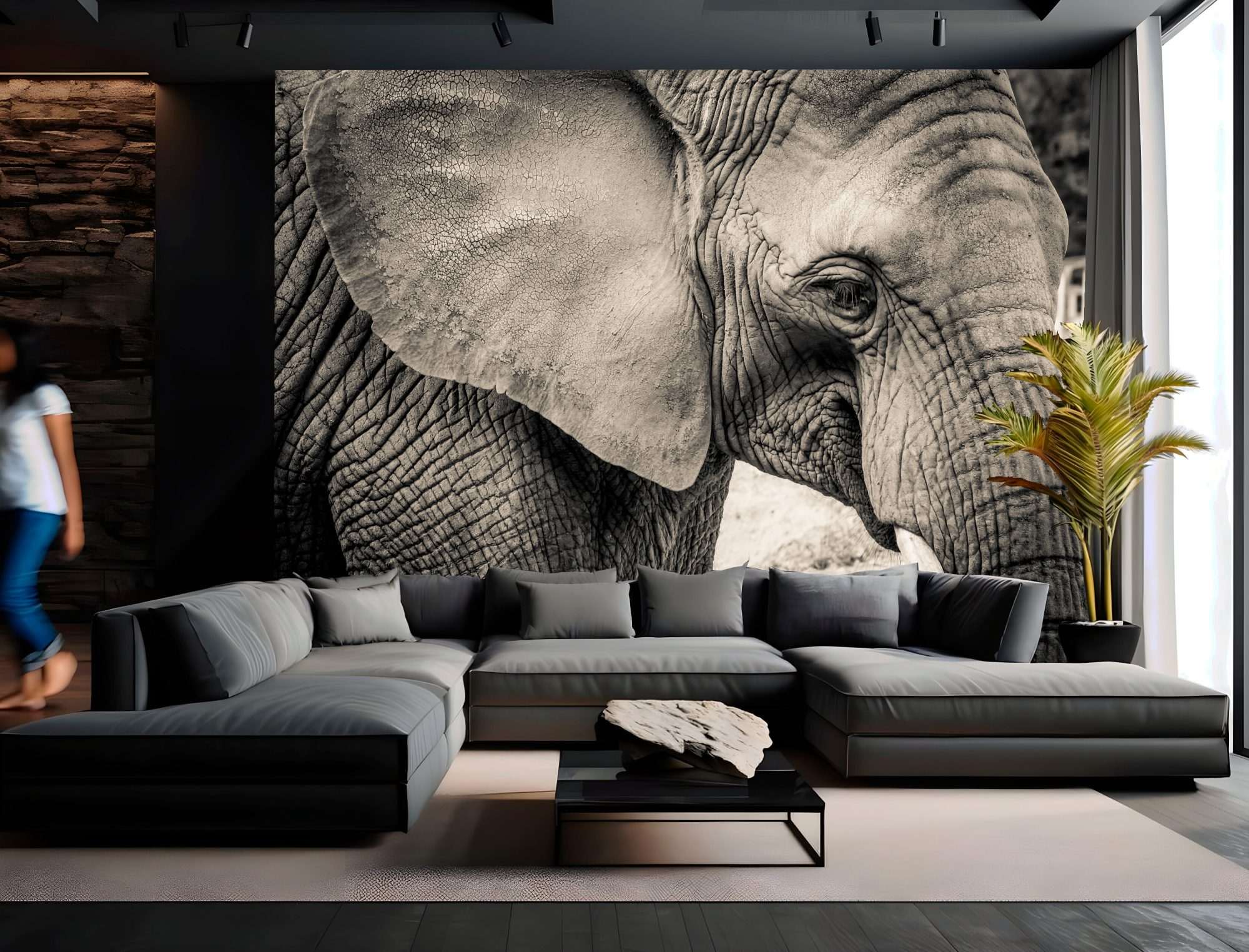 Olifant Zwart-Wit Close-up