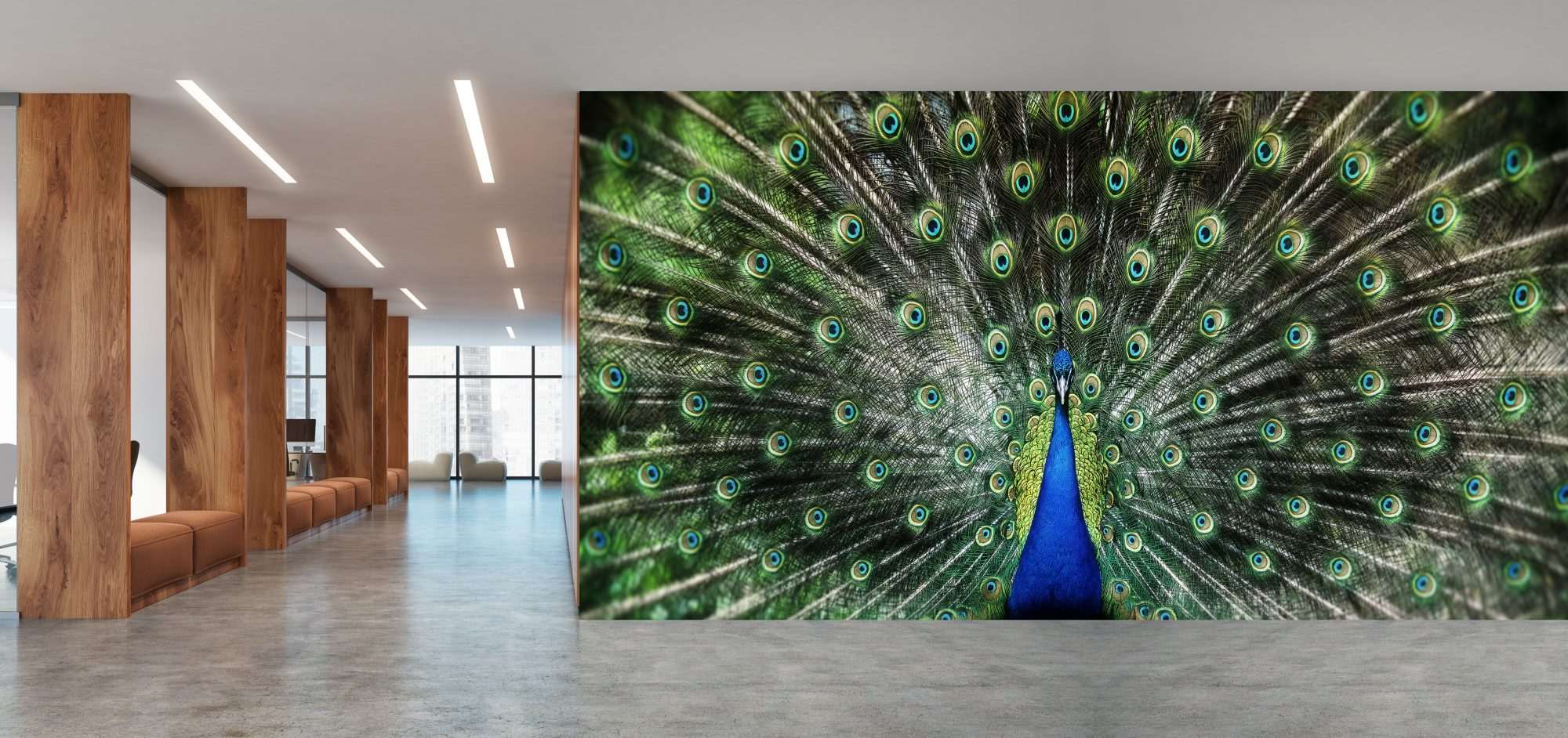 Pauw Veren Panorama Groen Blauw