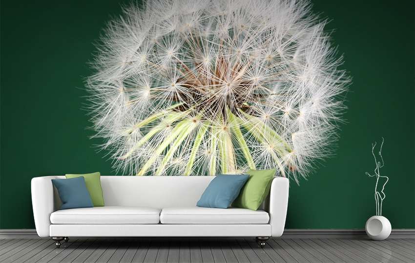 Fotobehang Paardenbloem met Dauw – Macro Natuurfoto