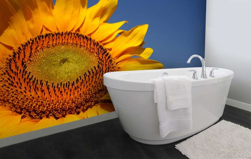 Fotobehang Zonnebloem tegen Blauwe Lucht – Close-up Bloemen