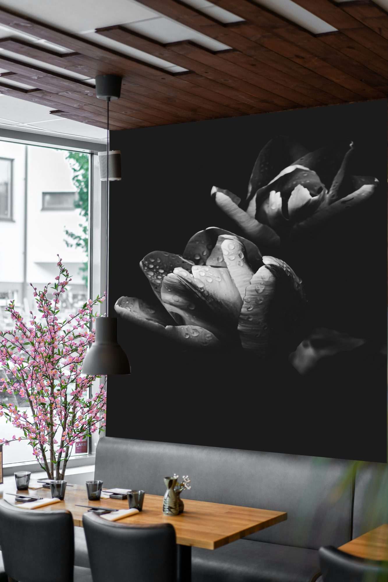 Fotobehang Zwart-Witte Rozen – Artistieke Bloemenfotografie
