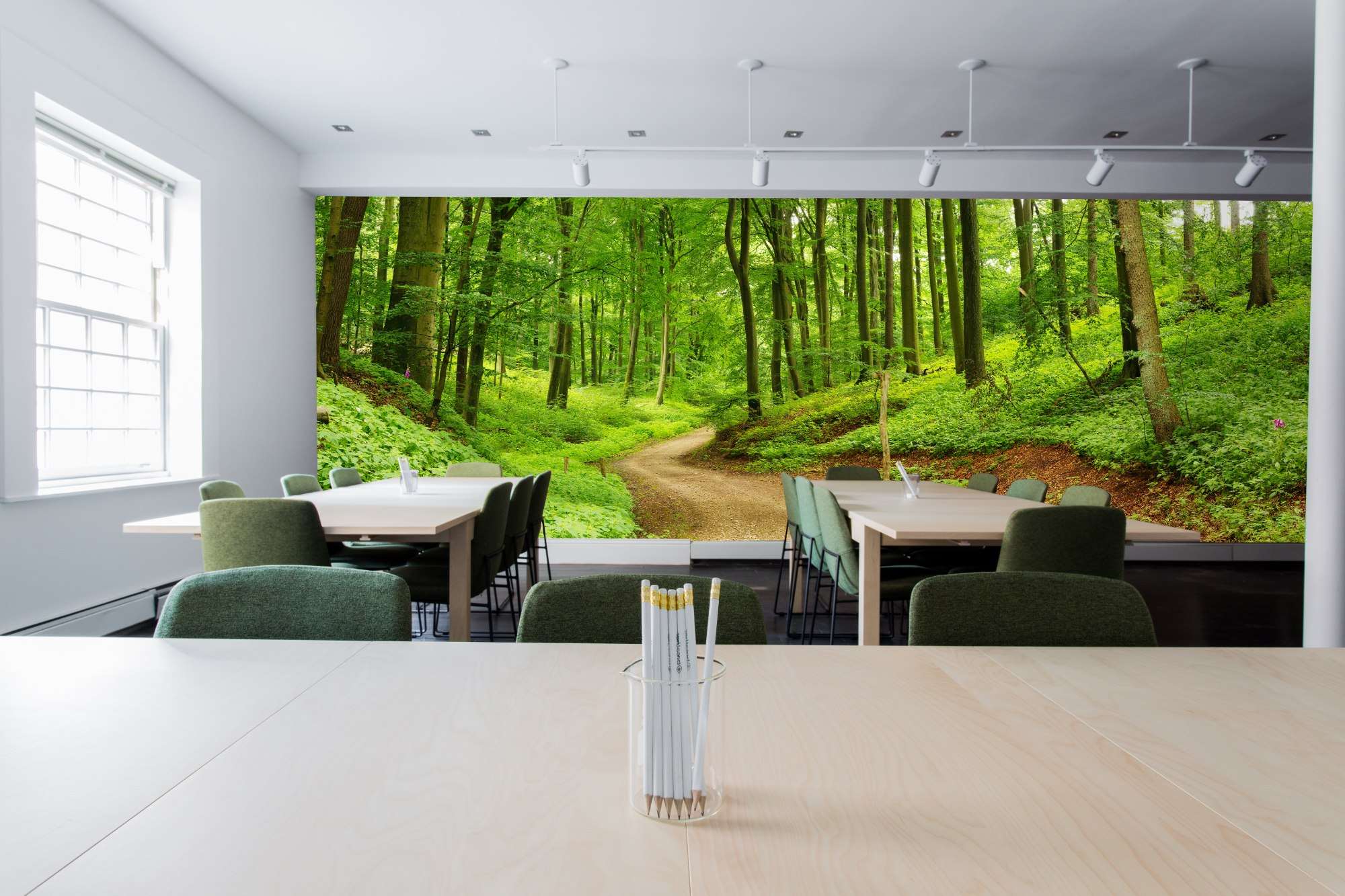 Fotobehang Slingerend Bospad in Fris Lentebos