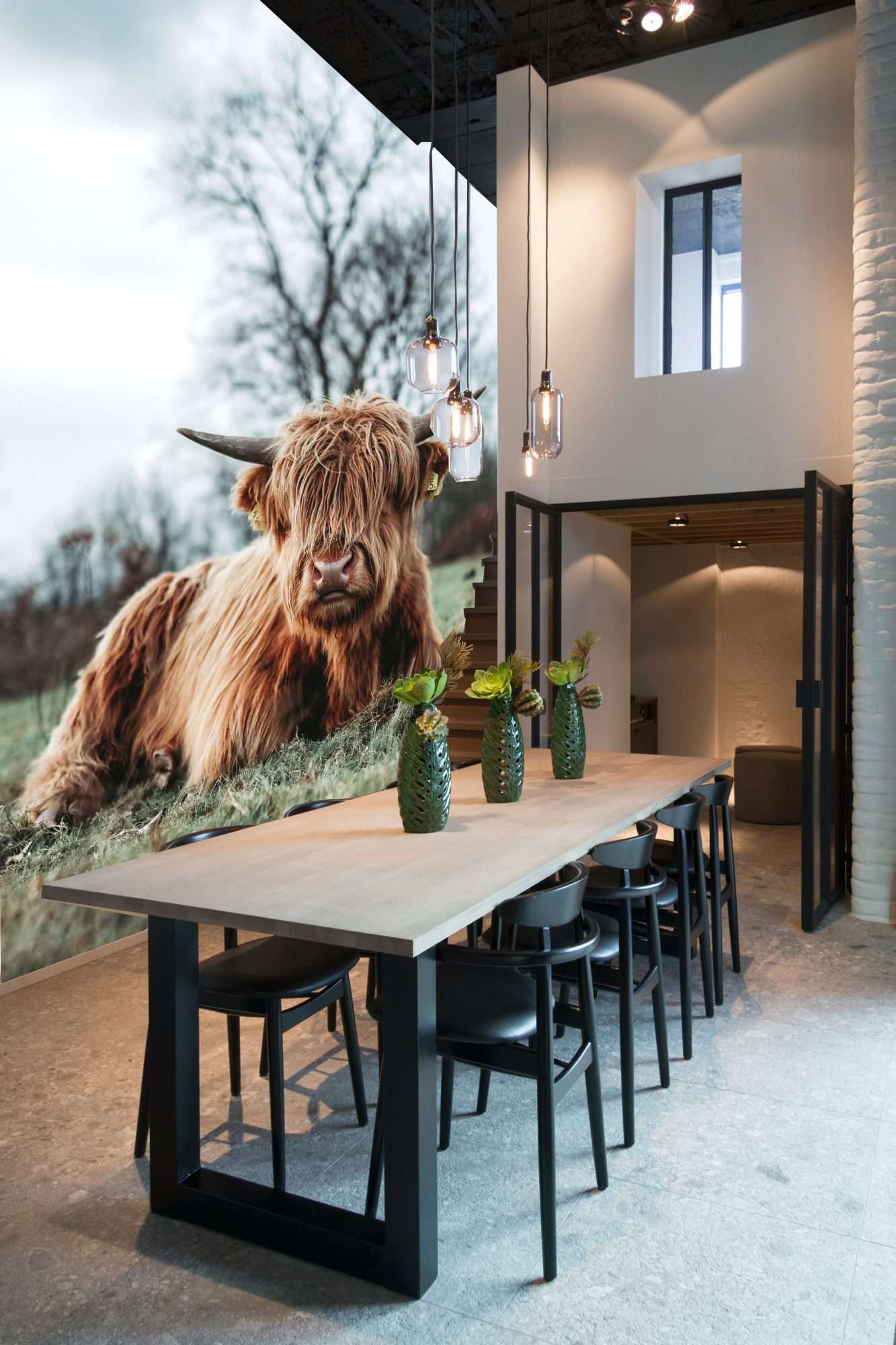 Fotobehang Rustende Schotse Hooglander in Natuurlijk Landschap