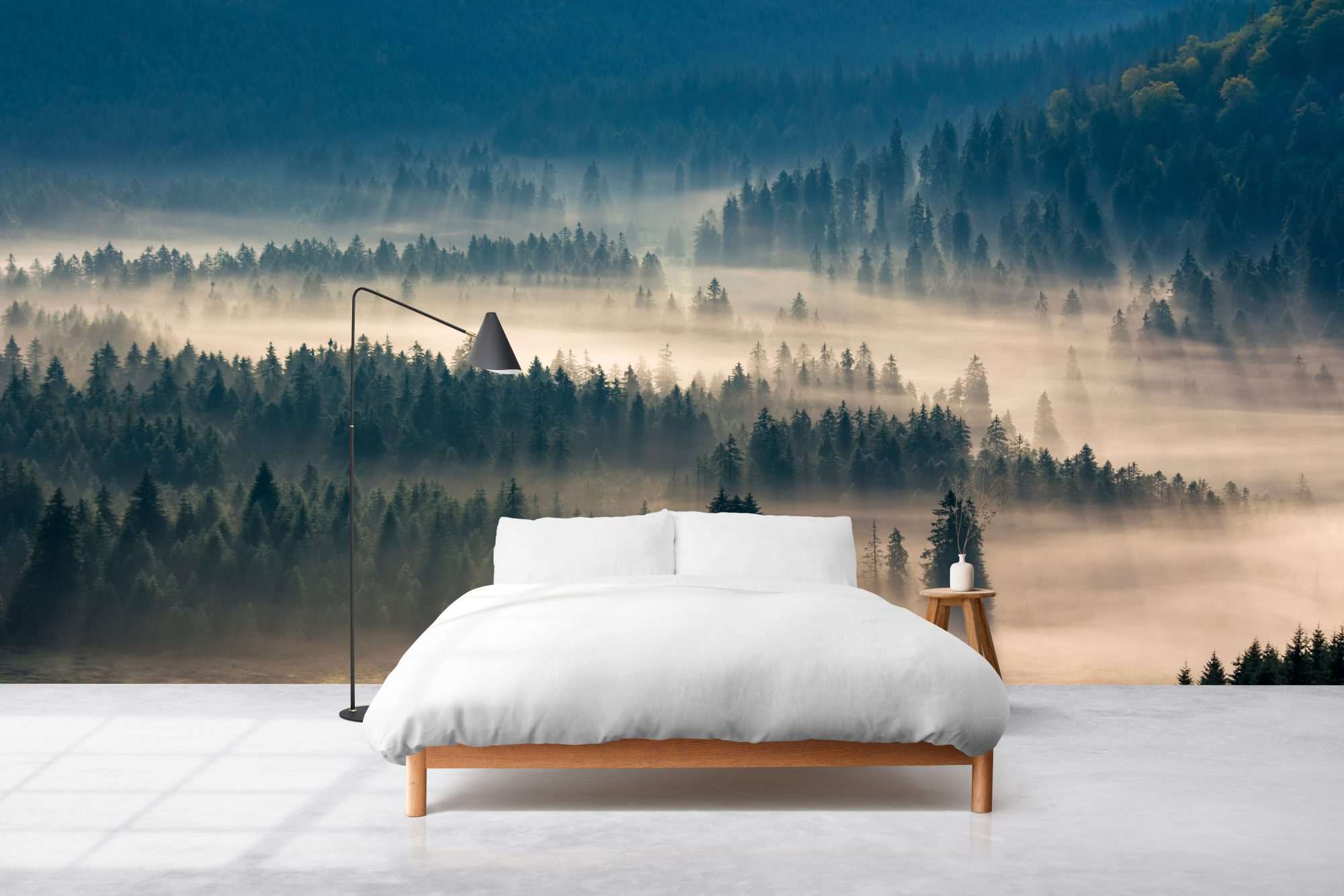 Fotobehang Mist over Uitgestrekt Naaldbos