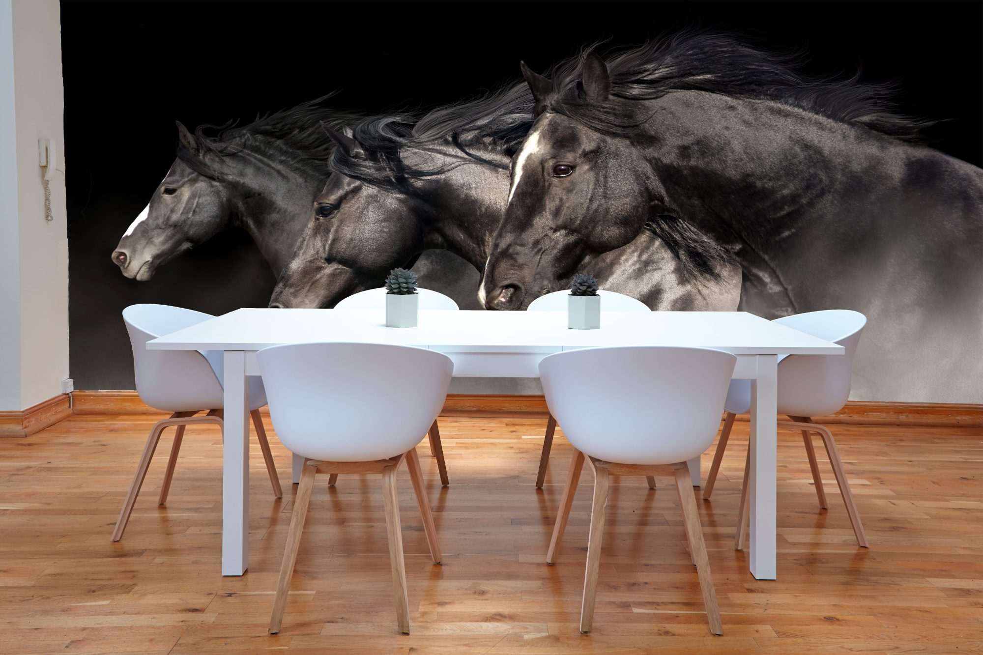 Fotobehang Drie Zwarte Paarden in Beweging