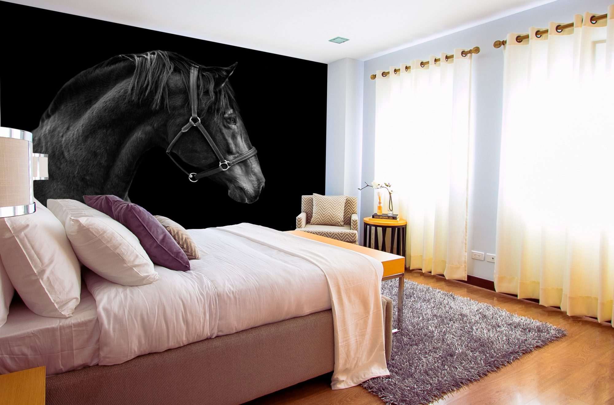 Fotobehang Zwart Paardenportret op Donkere Achtergrond