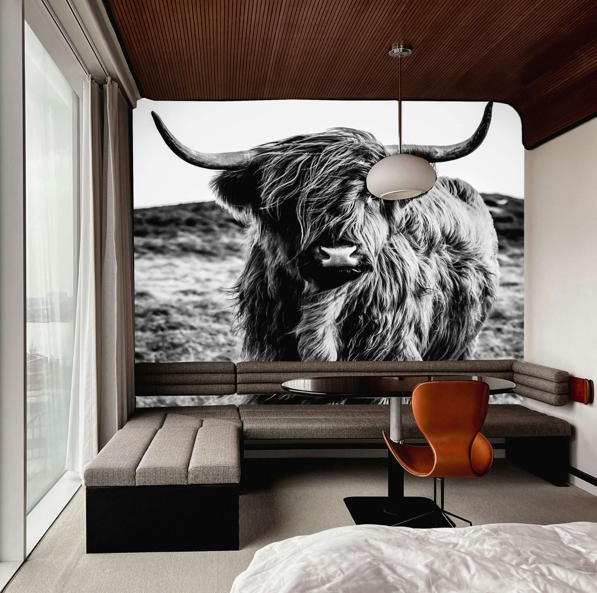 Fotobehang Zwart-Wit Portret van Schotse Hooglander