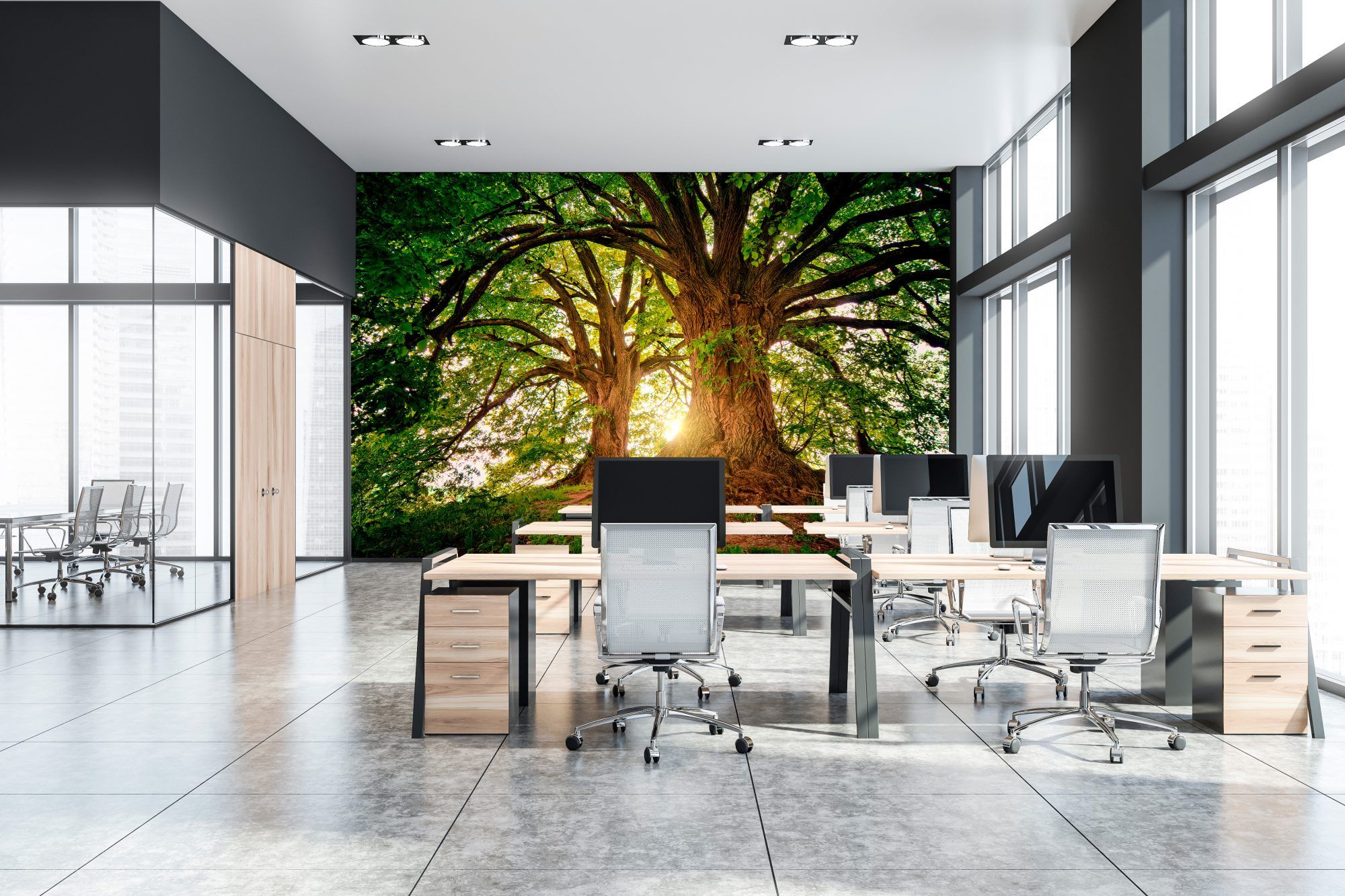 Fotobehang Monumentale Bomen met Zonlicht door de Boomkronen