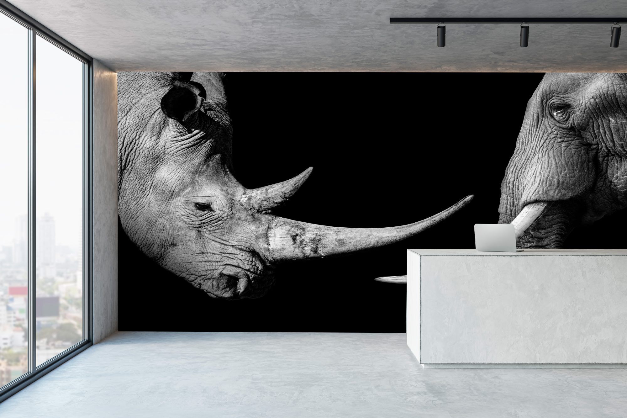 Fotobehang Neushoorn en Olifant Zwart-Wit
