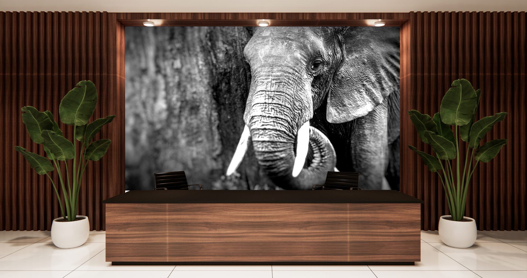 Fotobehang Olifant Zwart-Wit Close-up