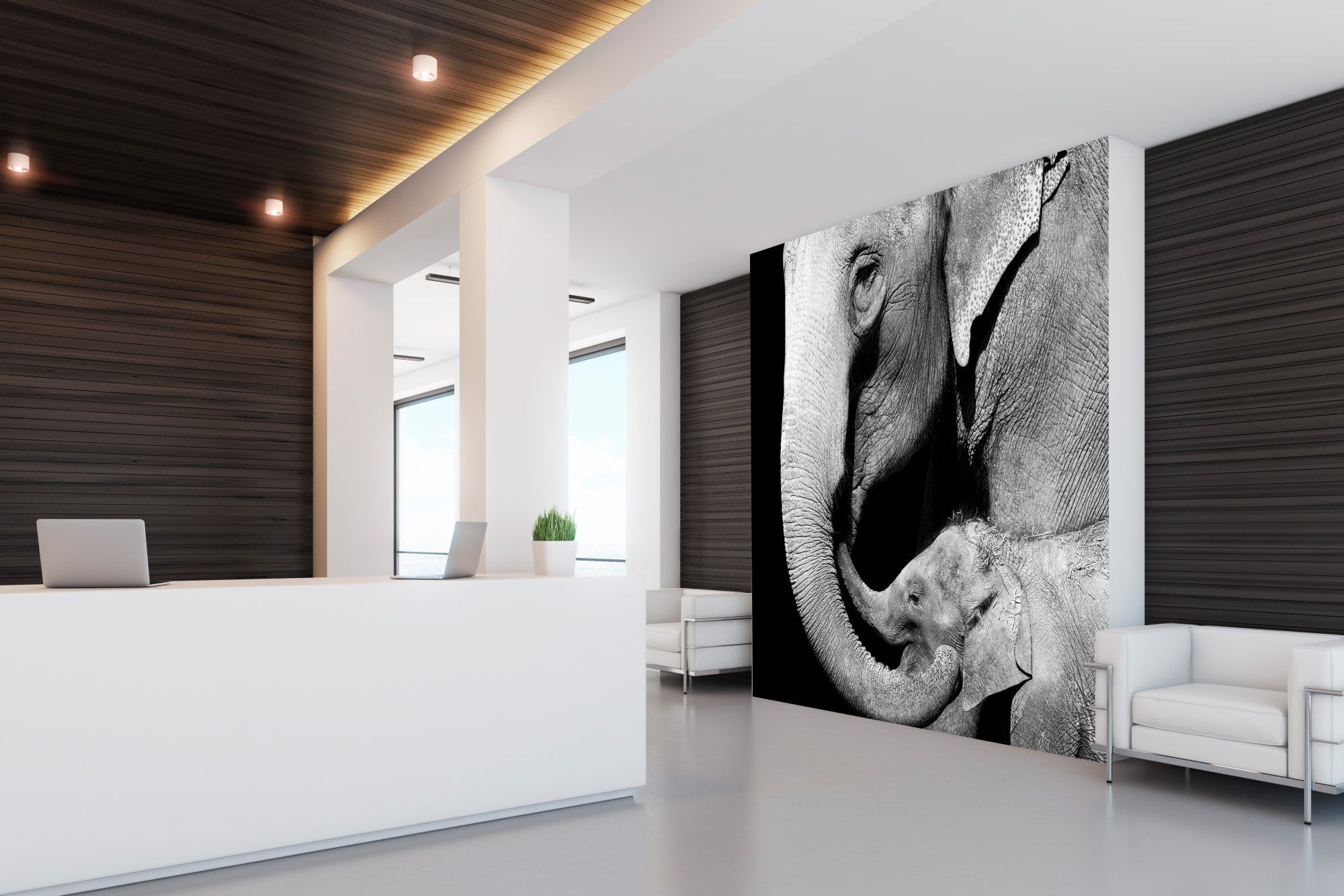 Fotobehang Olifant met Kalf Zwart-Wit