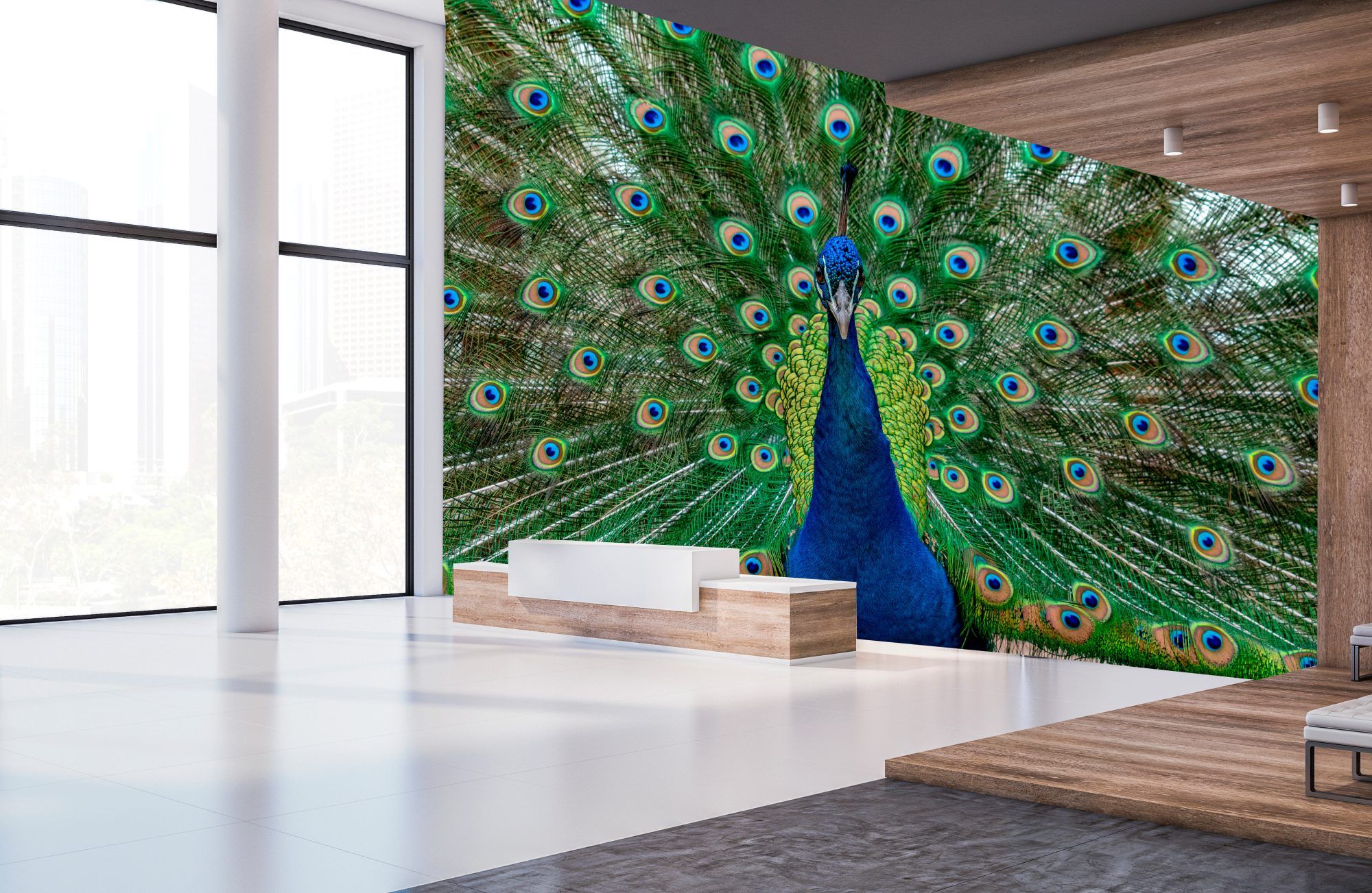 Fotobehang Pauw met Kleurrijke Veren