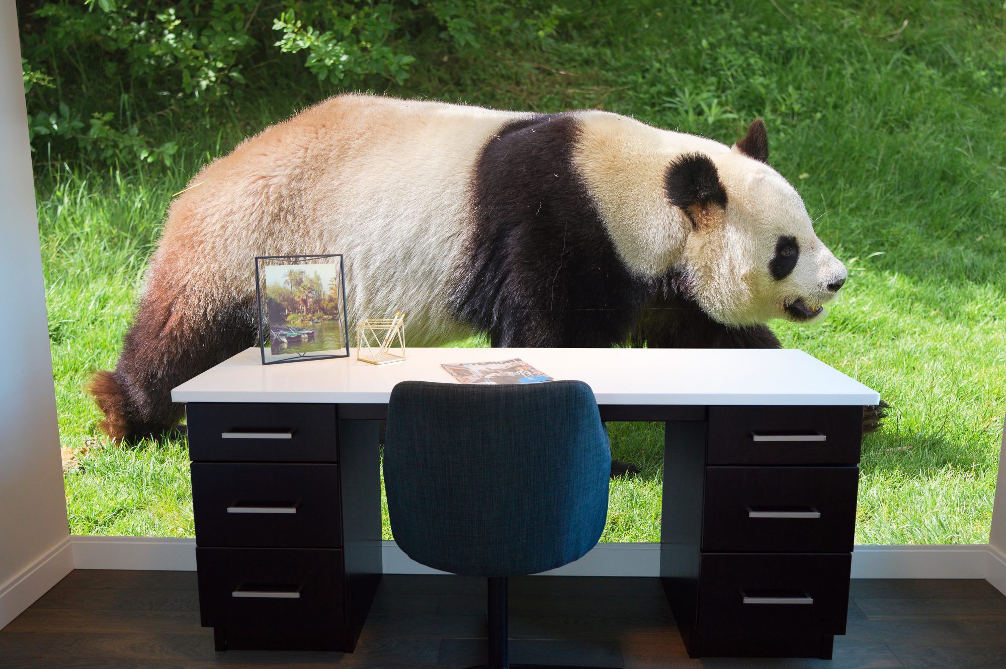 Fotobehang Reuzenpanda in het Groen